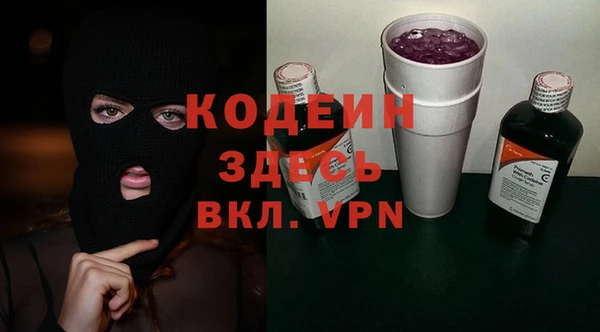 хмурый Алзамай