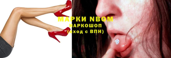 хмурый Алзамай