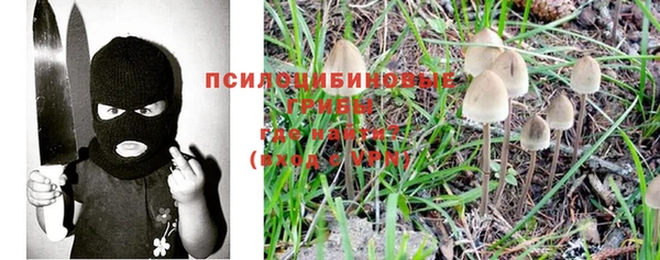ECSTASY Алексеевка