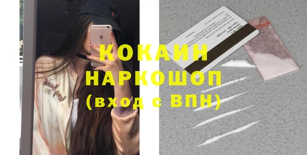 хмурый Алзамай
